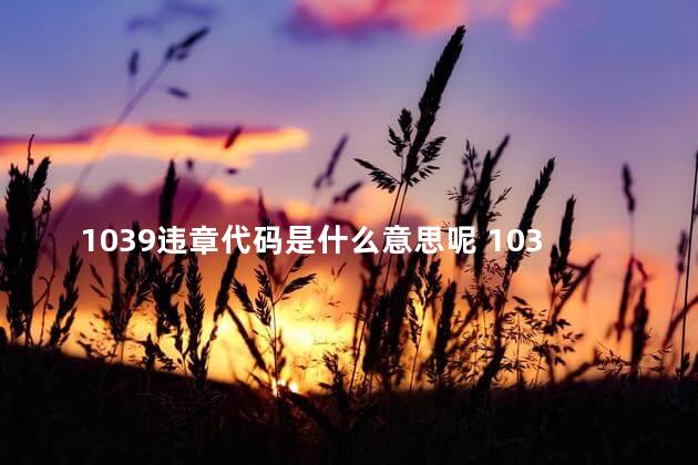 1039违章代码是什么意思呢 1039违章代码是什么意思怎么处理